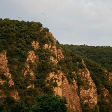 Witts From * モーゼルケルン