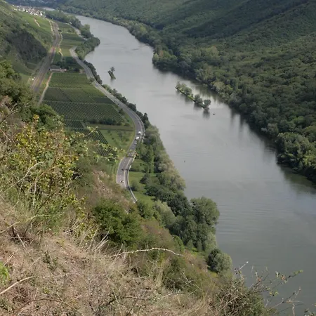 Witts From Apartmán Moselkern