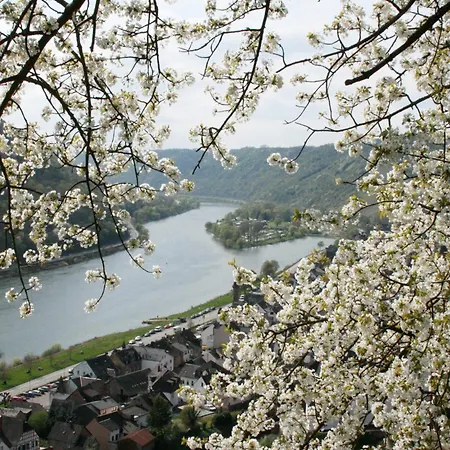 דירה Witts From *