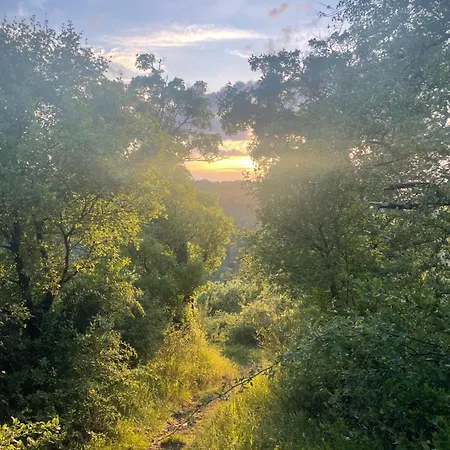 Appartement Witts From Moselkern