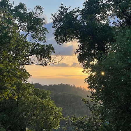 Appartement Witts From Moselkern