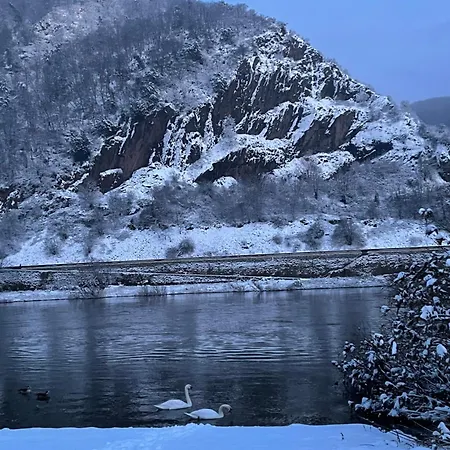 Witts From アパート *