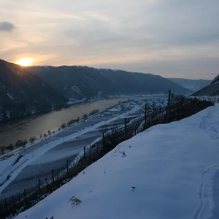 Witts From アパート *