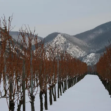 アパート Witts From モーゼルケルン