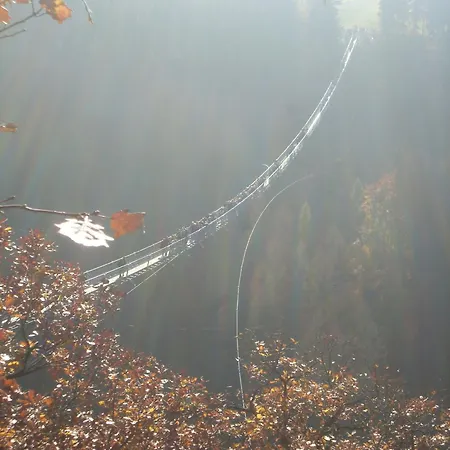 アパート Witts From *