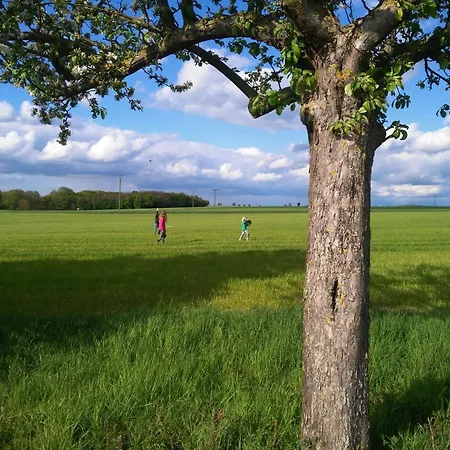 דירה Witts From *