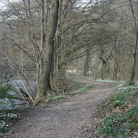 Witts From דירה *