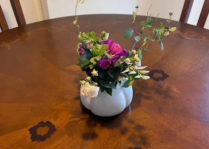 Witts From Apartamento