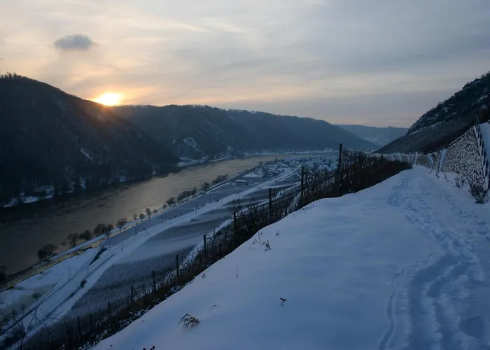 Witts From Apartamento *