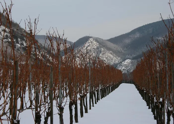 Apartamento Witts From Moselkern