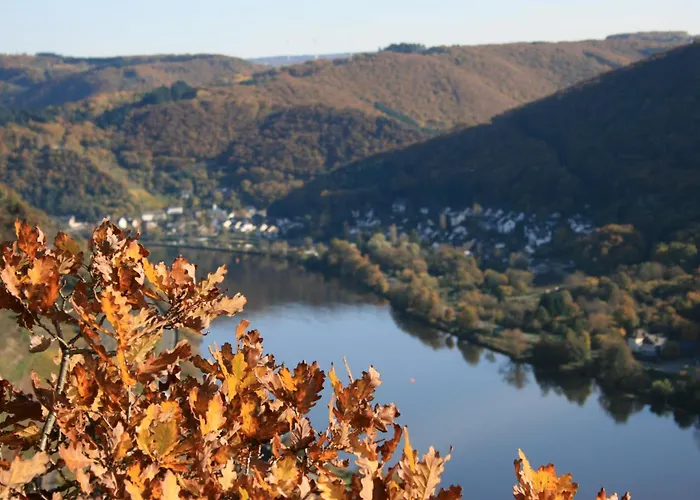 Witts From Apartamento *