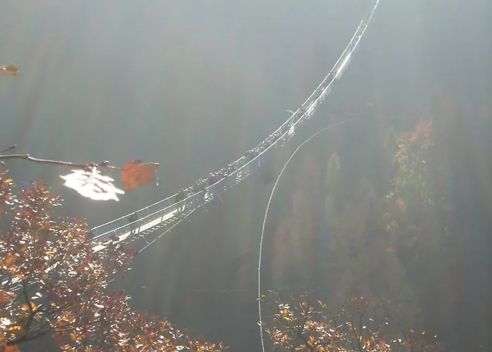 Apartamento Witts From *