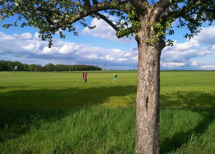 Apartamento Witts From *