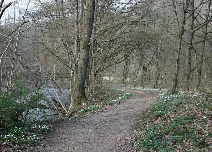 Witts From Apartamento *