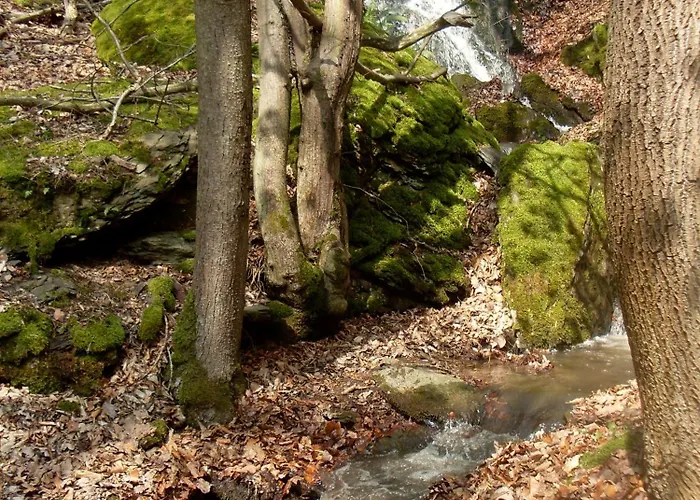 Apartamento Witts From